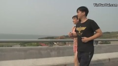 群星 - 道鸭子城市攻略之撞客