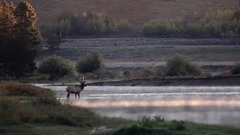 风景,音乐短片 - Sonic Scope - River Mist