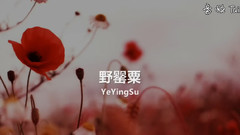 华语群星 - 野罂粟