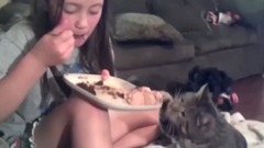 音乐短片,萌宠 - Worlds FUNNIEST CAT Compilation