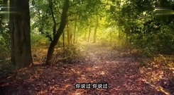 音乐短片,模仿翻唱 - 傻瓜不准难过