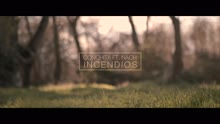 Conchita - Incendios