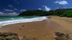 The Joy Of Life