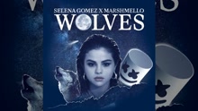 Selena Gomez & Marshmello - Wolves Trailer 2