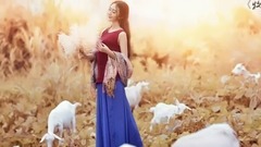 华语群星 - 牧羊曲