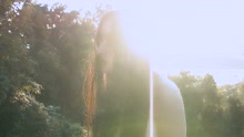 Zola Jesus - Zola Jesus - Siphon