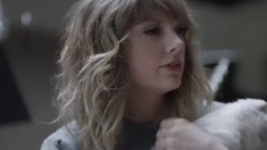 Taylor Swift - 千万别惹泰勒斯威夫特,大师功夫泰牛勒