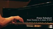 Lucas Debargue - Franz Schubert - Piano Sonata No. 13 in A Major, D. 664