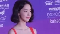 少女时代,允儿(少女时代) - 第一届The Seoul Awards红毯允儿