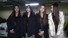 Stellar - 可怜,悲惨的组合纪实。