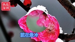 费玉清 - 一剪梅