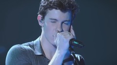 Shawn Mendes - Bad Reputation