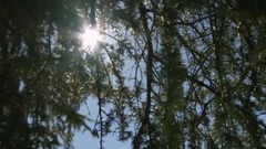 风景,影视原声,音乐短片,轻音乐,乐动城市 - <Africa.撒哈拉沙漠> EP05