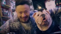 郑建鹏,一指团体 - 25BOY