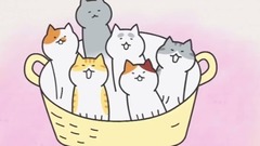 动漫专属 - 《まめねこ》
