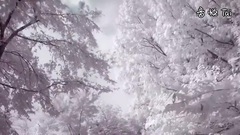 秀智(miss A) - k2 winter land with agnes CF