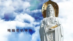 真假中