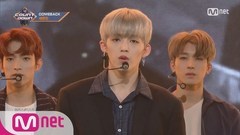 Seventeen - Without You
