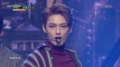 Seventeen - Without You