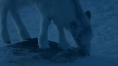 欧美群星,风景,影视原声,音乐短片,轻音乐 - <地球最壮观的景色.斯瓦尔巴群岛> 第二集.