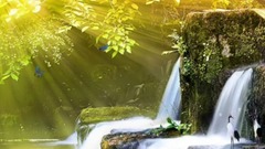 山水入心