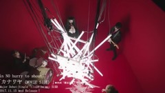日本群星 - in NO hurry to shout