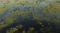 风景,搞笑音乐,影视原声,音乐短片,轻音乐 - 狒狒过河 一二一
