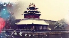 龙梅子 - 北京•忘不了
