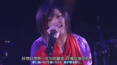 日本群星 - 桜音 ピコ