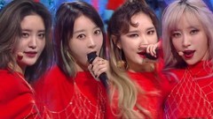EXID - DDD