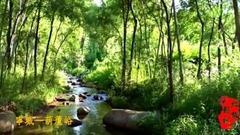 风景,音乐短片,轻音乐,乐动城市 - 红城秋韵