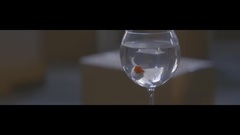 欧美群星 - Son Veda