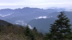 风景,音乐短片 - 阴峪河大峡谷望岳坪野人山
