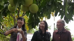 风景,音乐短片 - 悠闲愉悦官庄村