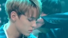 Seventeen - Without You