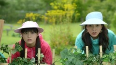 日本群星,影视原声 - 映画『イタズラなKiss THE MOVIE 3 ~プロポーズ編~』予告編
