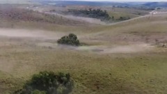 欧美群星,风景,影视原声,音乐短片 - 马达加斯加的壮观蝗群
