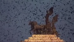 风景,影视原声,音乐短片,乐动城市 - 蔚为壮观的欧掠鸟群
