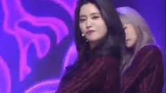 EXID - DDD