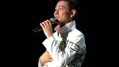 刘德华 - 如果你是我的传说