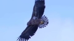 风景,音乐短片,轻音乐 - Spirit Of The Flying Eagle