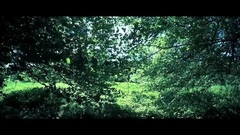 音乐短片 - Window To Paradise
