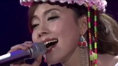华语群星,民乐群星 - 天路