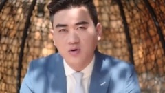 华语群星 - 爱上你却痛了我自己