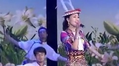 华语群星,民乐群星 - 最美的祝福