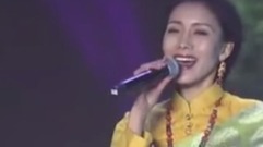 华语群星,民乐群星 - 梅里爱的见证