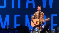 Shawn Mendes - Kid In Love