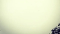EXO,EXO-K,吴世勋(EXO) - 世勋更新INS视频一则 初雪