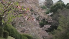 DANCEROID - 100人の朗読 いとくとら編その3