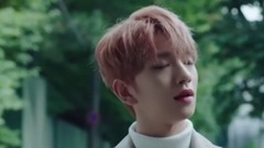 Seventeen - 风车